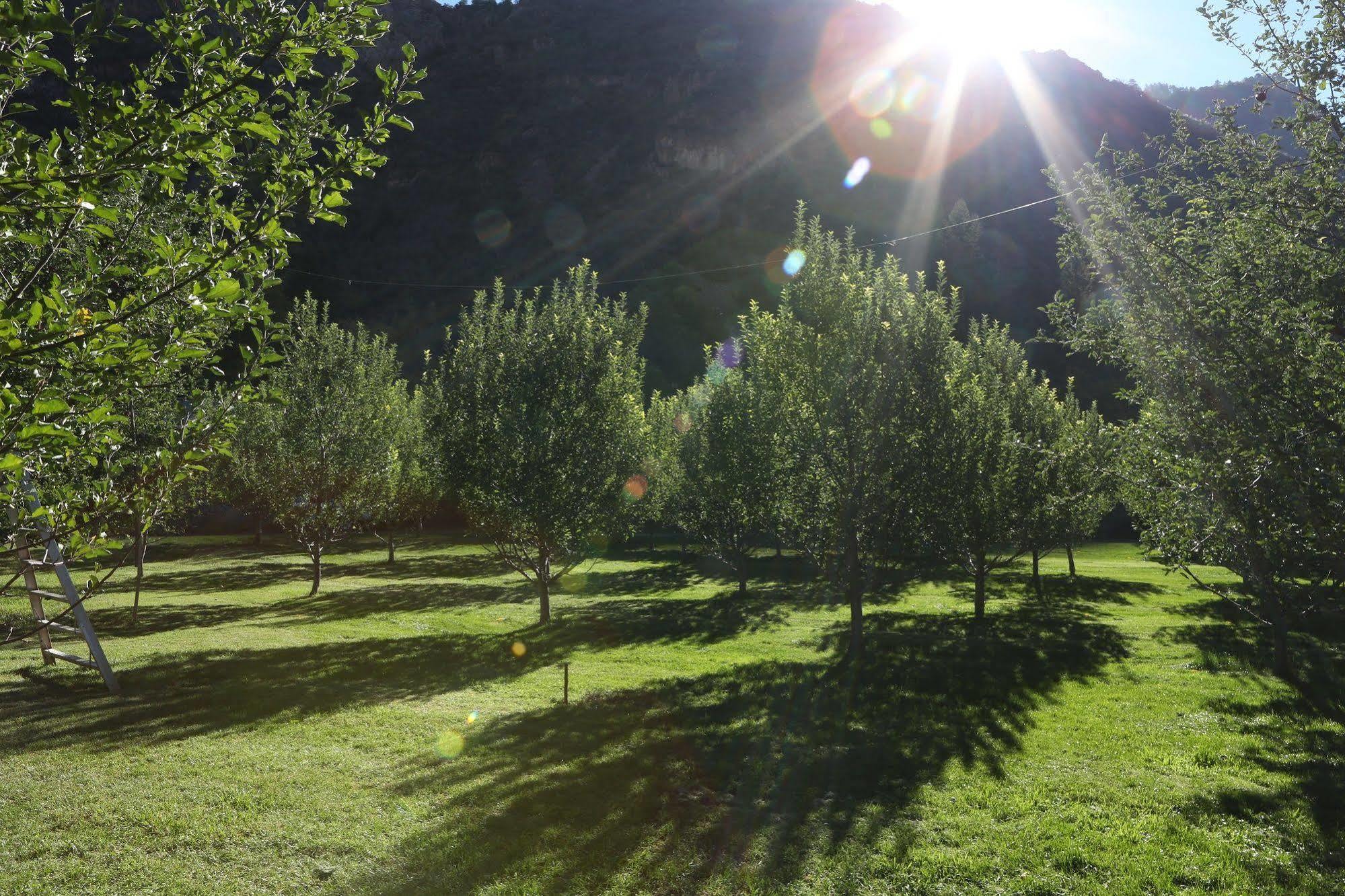 Orchard Canyon On Oak Creek Седона Екстер'єр фото